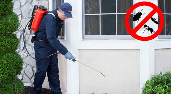 Mazıdağı Böcek İlaçlama böcek ilaçlama ve haşere kontrolü — ilaclama-tr.com